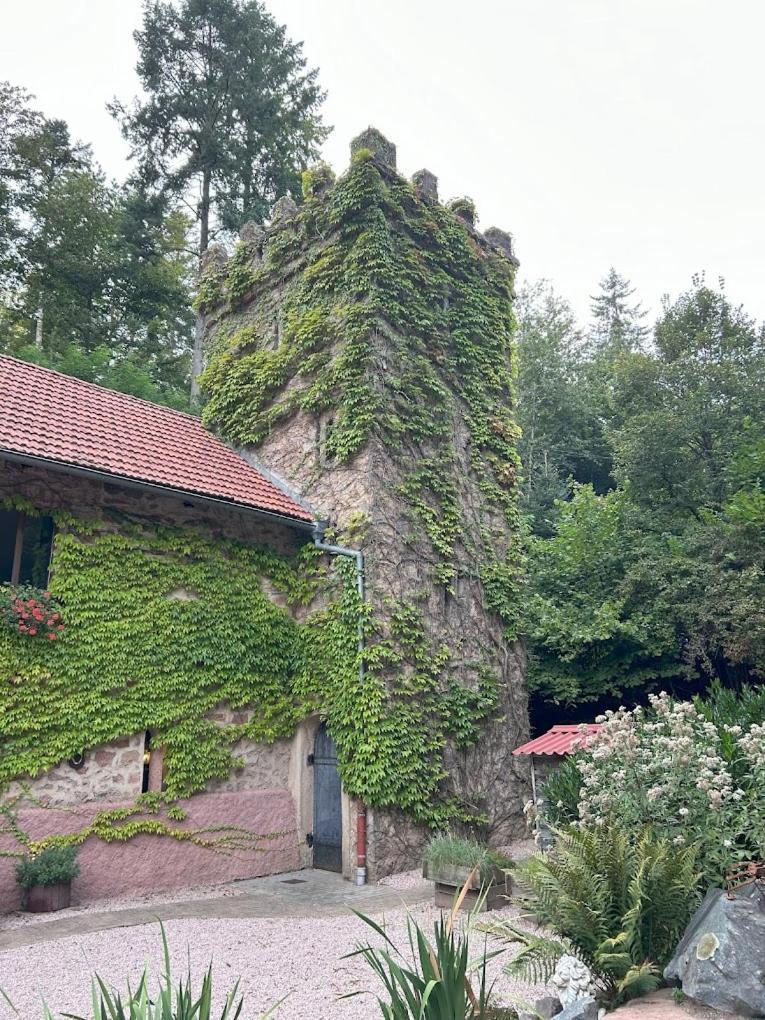 Le Chateau Du Landsberg Барр Экстерьер фото