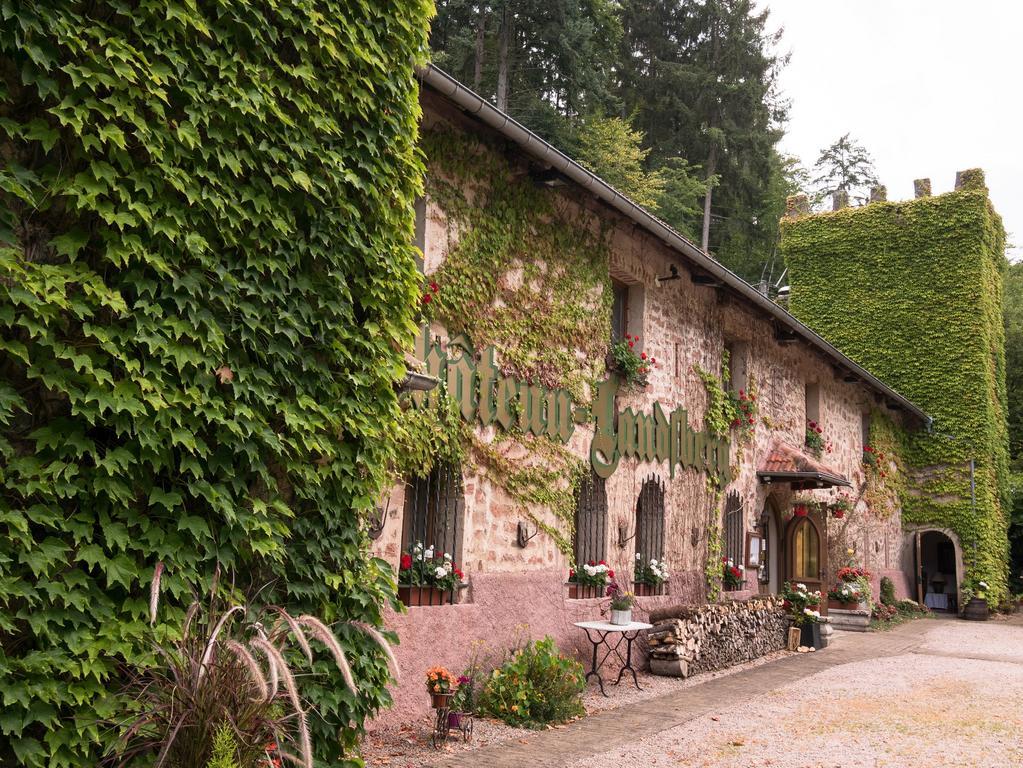 Le Chateau Du Landsberg Барр Экстерьер фото